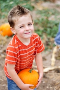 Pumpkin Find at the Corn Maize at Staker Farm near Ogden, Utah.