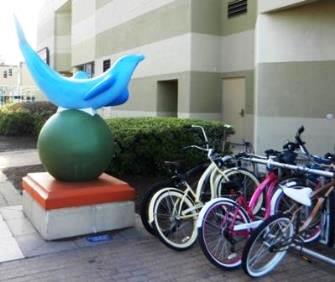 Bike Virginia Beach and Live the Life.