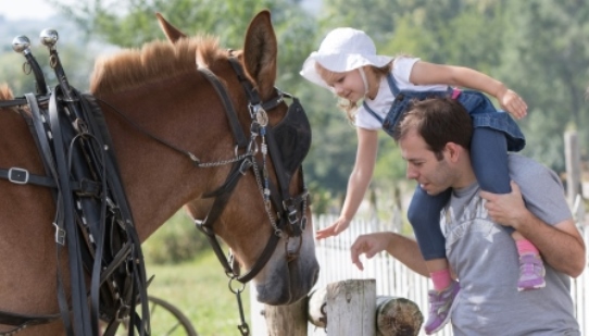 Living History Farms Family fun