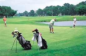 439SCMBGolf