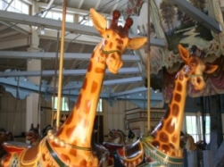 469MSMeridianCarousel