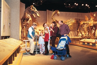 Dinosaurs at Denver Museum of Natural History