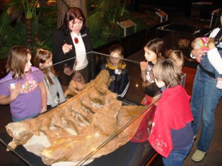 Museum of The Rockies Bozeman Montana Dinosaurs 