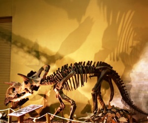 Dino Trips - Dinosaur Center in Thermopolis, Wyoming 