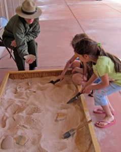 Petrified Forest National Park Activity Box