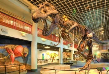 Academy of Natural Sciences Dinosaur Hall in Philadelphia