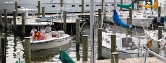Annapolis Maryland Harbor Boats