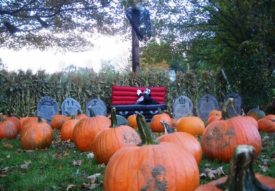 Marcrh farm Connecticut Pumpkin Patch