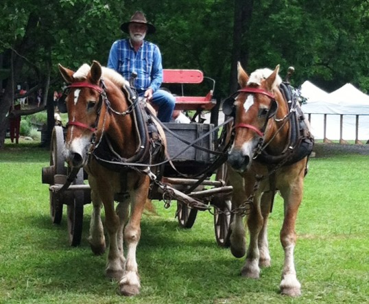 Homestead Hollow Alabama Wagon Ride