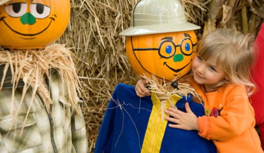 Stone Mountain Georgia Pumpkin Festival