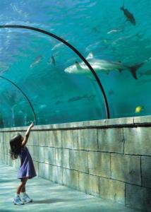 Nassau Girl Tunnel