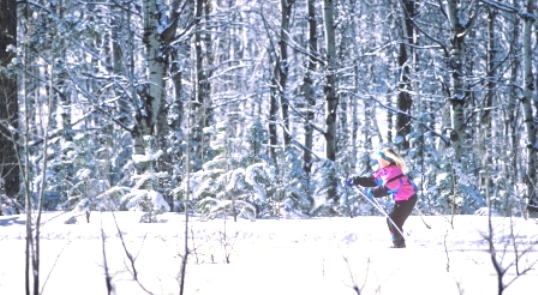 Cross Country Skiing in South Dakota