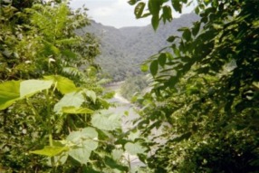 West Virginia River View near Daniels