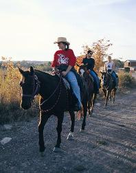 Southern West Virginia Horseback Riding