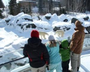 Zoo sauvage de St-Félicien Quebec Winter Family Fun