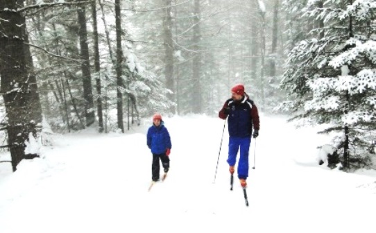 Lapland Lake Resort Cross Country Trail