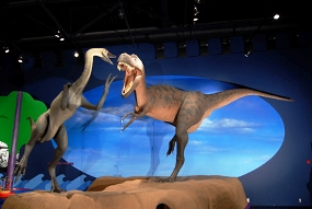 British Columbia Dinos