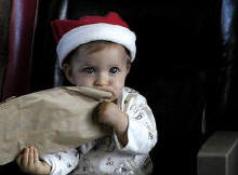 Seminole Gulf Railyway Christmas Train ToddlerTrain