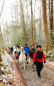 590TNPFHikers