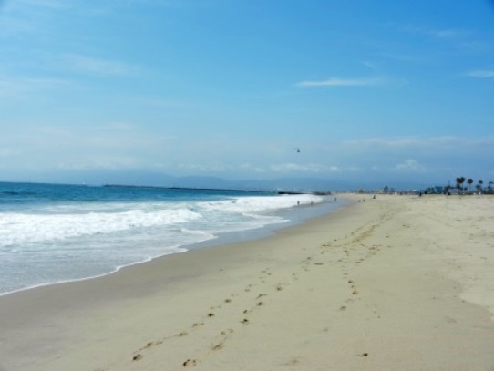 Padre Island National seashore Texas Gulf Coast