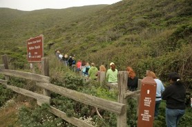 Californa Hike