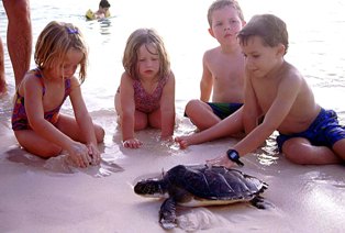 Cayman Kids with Turtle