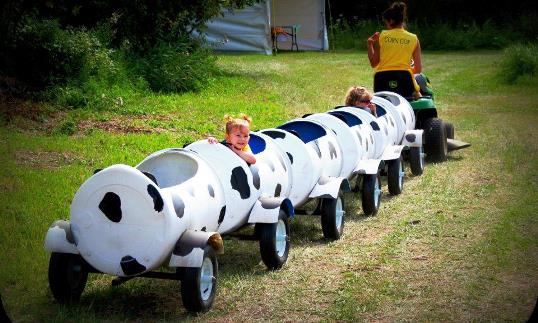 Pumpkin Hollow Saskatchewan cow Train