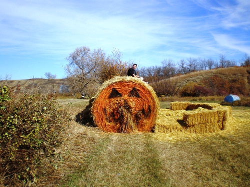 Canada Hay field