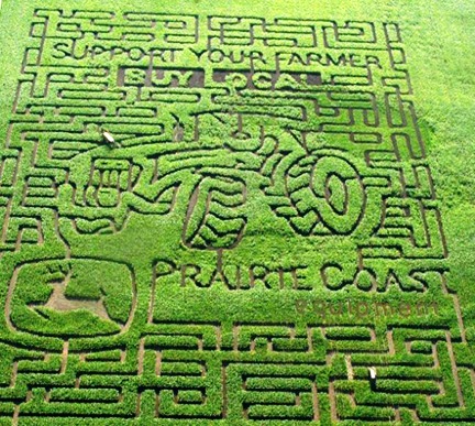 Canada corn maze