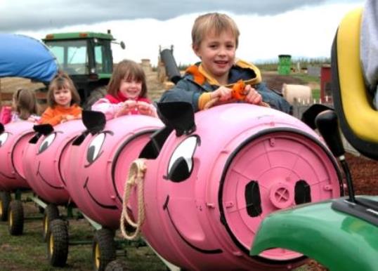 French Prairie Gardens Pig Train