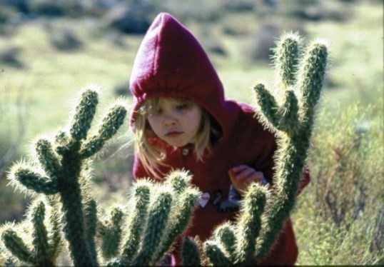 Anza Borrego Desrt Discoveries in Southern California