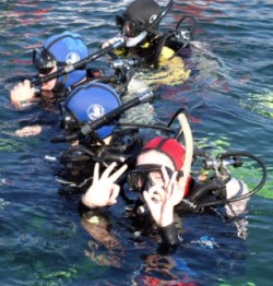 Bird's Underwater Crystal River PADI Certification