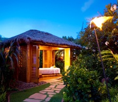 774HiKauaiHyattSpaHale