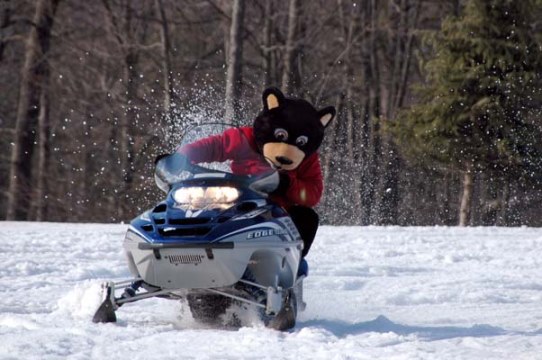 Woodloch's Boomer Bear Snowmobiling, Poconos PA