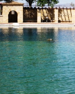 Balmorhea State Park Texas Pool