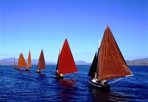 Gallway Hookers on the Bay 