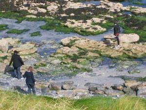 Aran Islands Tidepools