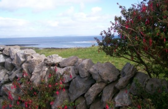 Inishmore Aran Islands Sea View