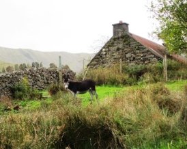 Connemara Ireland Country House
