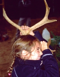 Zoo Sauvage Caribou Hug