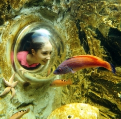 SEALIFE Center Kansas City Missouri