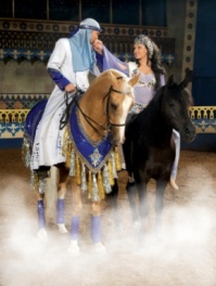 Arabian Nights Dinner Theater Orlando Florida