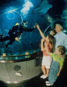 CityPASS San Francisco Aquarium Diver with Family