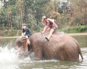 Quivertree Family Expeditions Luang Prabang