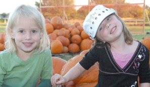 Donna's Corn Maze Donna Texas