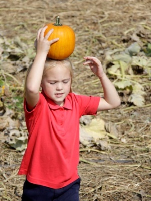 Murray Farms Pumpkin Patch in Bakersfield