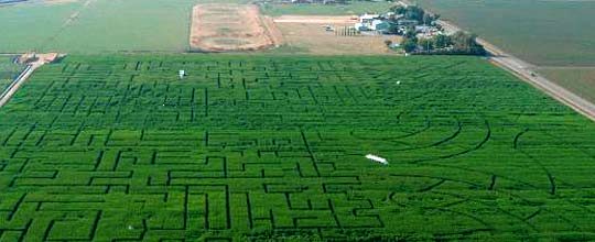 Coop Patch Corn Maze near Dixon