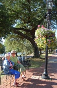 Natchitoches Front Streey People Watching Bench