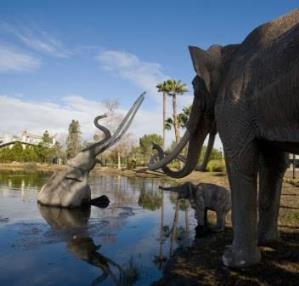 La Brea Tar Pit Los Angeles California