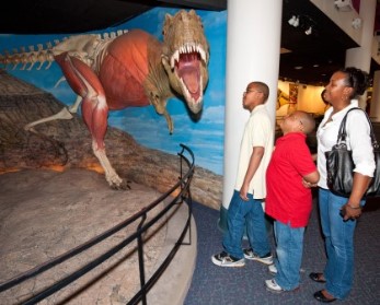 Dino Hall Resident at Academy of Natural sciences in Philadelphia, PA